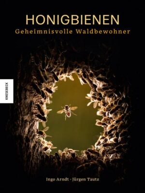 Honigbienen - geheimnisvolle Waldbewohner