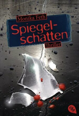 Spiegelschatten / Romy-Thriller Bd.2