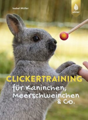 Clickertraining für Kaninchen