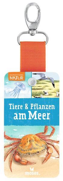 Expedition Natur - Fächer Tiere & Pflanzen am Meer