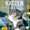 Katzen