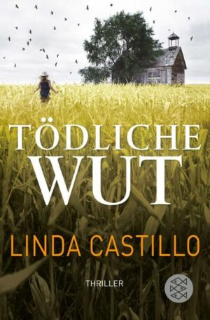 Tödliche Wut / Kate Burkholder Bd.4