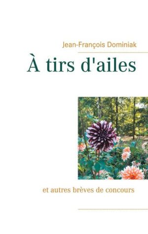 À tirs d'ailes