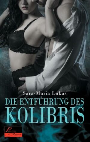 Hard & Heart 1: Die Entführung des Kolibris