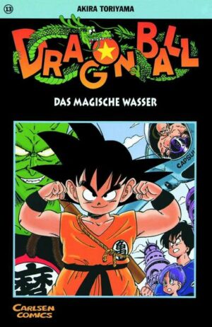 Dragon Ball 13