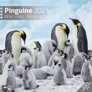 Pinguine Kalender 2023 - 30x30