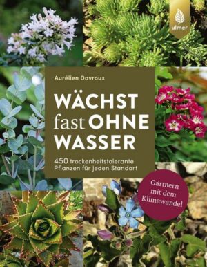 Wächst fast ohne Wasser