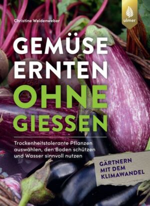 Gemüse ernten ohne gießen