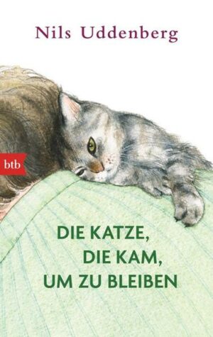 Die Katze