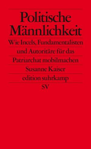 Politische Männlichkeit