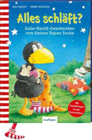 Der kleine Rabe Socke: Alles schläft?