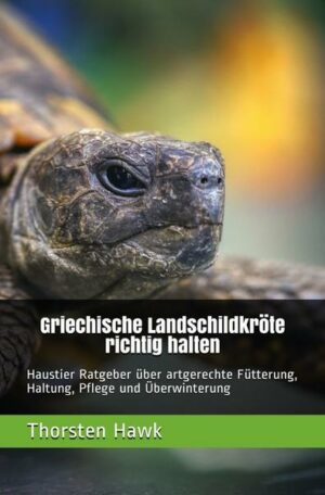 Griechische Landschildkröte richtig halten