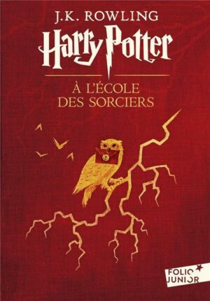 Harry Potter 1 à l'école des sorciers