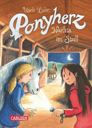 Nachts im Stall / Ponyherz Bd.6