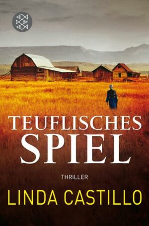 Teuflisches Spiel / Kate Burkholder Bd.5