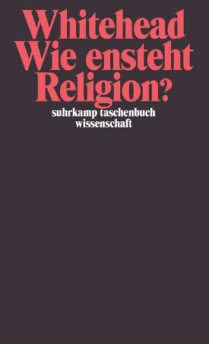 Wie entsteht Religion?