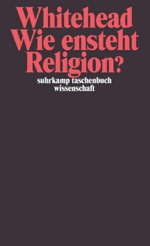 Wie entsteht Religion?
