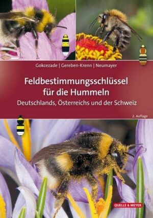 Feldbestimmungsschlüssel für die Hummeln Deutschlands