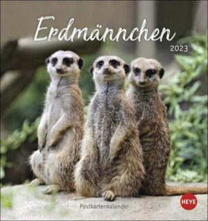 Erdmännchen Postkartenkalender 2023