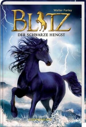 Blitz (Bd. 1)