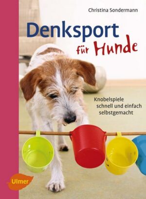 Denksport für Hunde