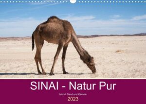 Sinai - Natur Pur (Wandkalender 2023 DIN A3 quer)