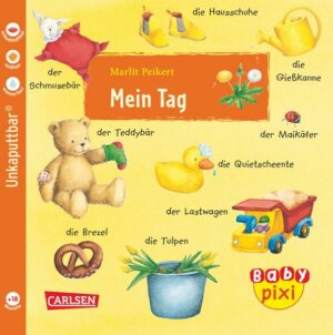 Baby Pixi 18: Mein Tag