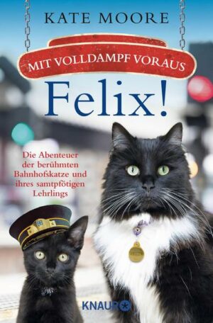 Mit Volldampf voraus