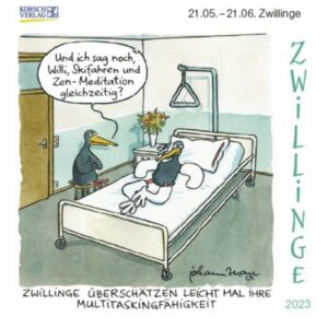 Zwillinge Mini 2023