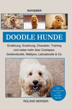 Doodle Hunde Cockapoo