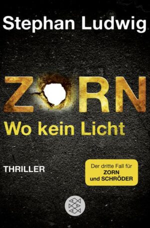 Zorn - Wo kein Licht / Hauptkommissar Claudius Zorn Bd.3