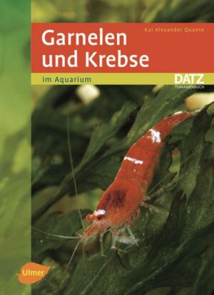 Garnelen und Krebse im Aquarium