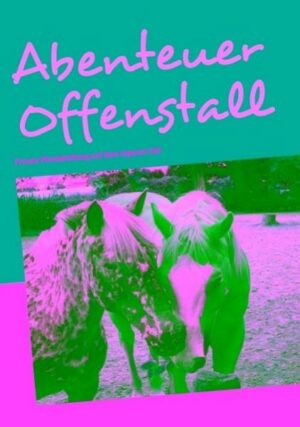 Abenteuer Offenstall