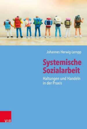 Systemische Sozialarbeit