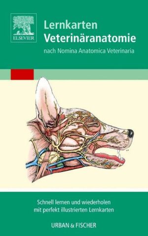 Lernkarten Veterinäranatomie/Veterinary Anatomy Flash Cards