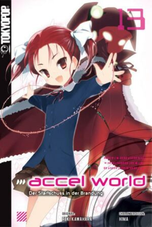 Accel World - Novel 13