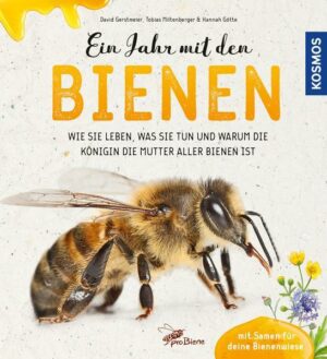 Ein Jahr mit den Bienen