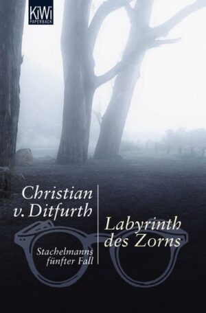 Labyrinth des Zorns / Stachelmann Bd.5