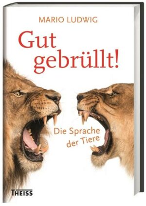 Gut gebrüllt!