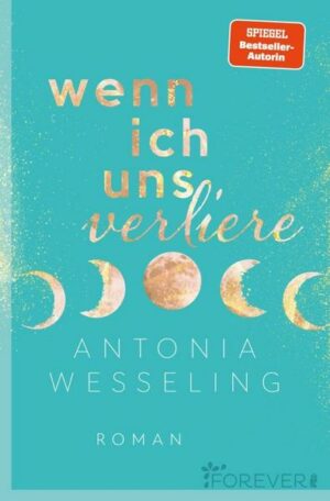 Wenn ich uns verliere (Light in the Dark 1)