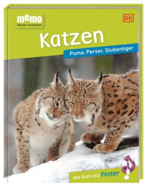 Memo Wissen entdecken. Katzen