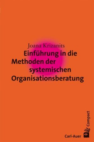 Einführung in die Methoden der systemischen Organisationsberatung