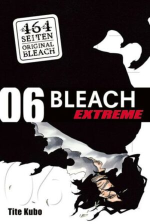 Bleach EXTREME 06