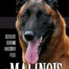 Der Malinois