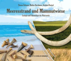 Meeresstrand und Mammutwiese