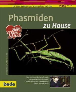 Phasmiden zu Hause