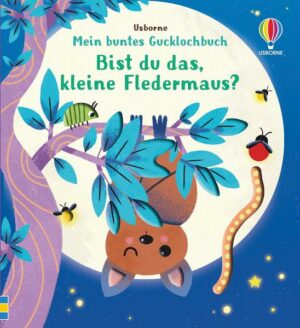 Mein buntes Gucklochbuch: Bist du das