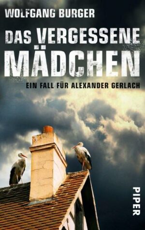 Das vergessene Mädchen / Kripochef Alexander Gerlach Bd.9