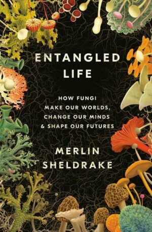 Entangled Life: How Fungi Make Our Worlds