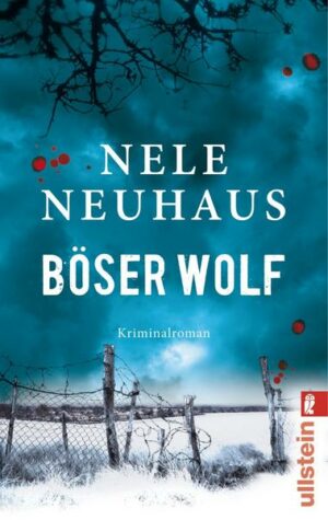 Böser Wolf / Oliver von Bodenstein Bd.6